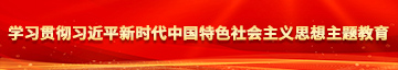 骚逼hh学习贯彻习近平新时代中国特色社会主义思想主题教育